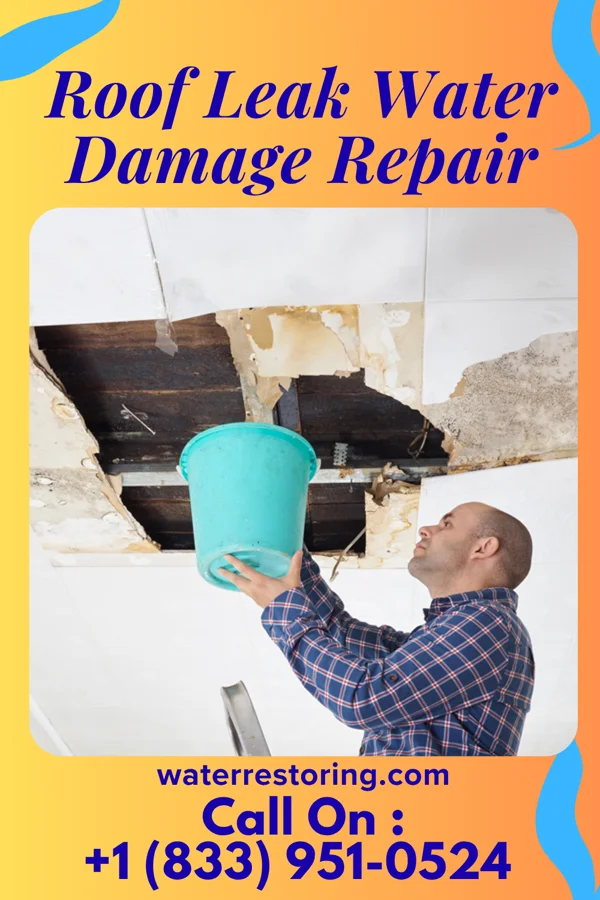 Roof Leak Water Damage Repair in Lithium, MO